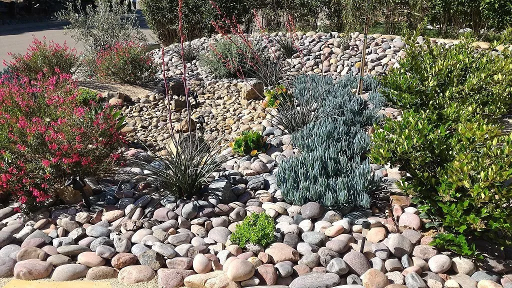 Xeriscaped front yard for water conservation with dry creek bed and economical solar lighting.